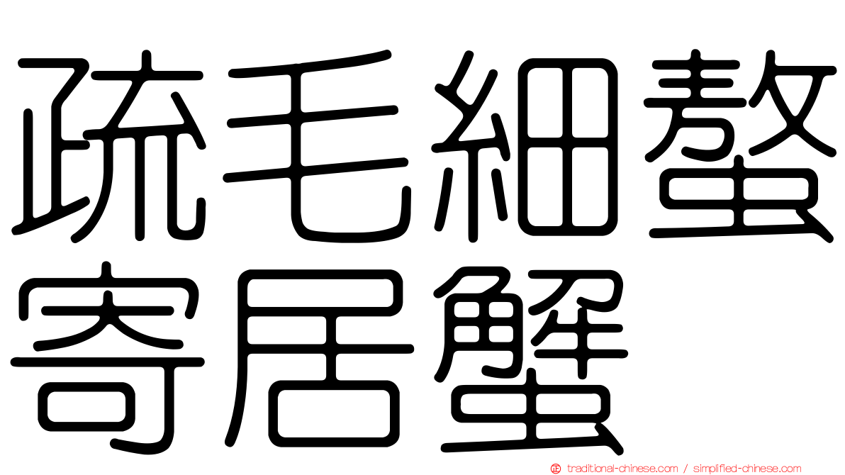 疏毛細螯寄居蟹