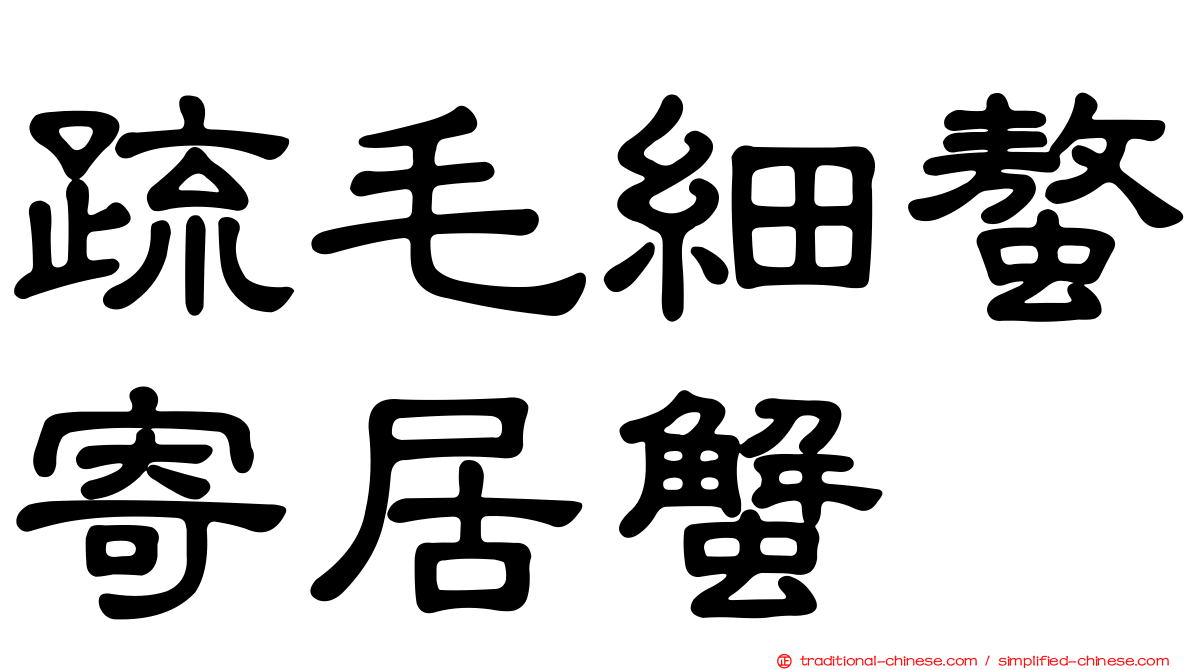 疏毛細螯寄居蟹