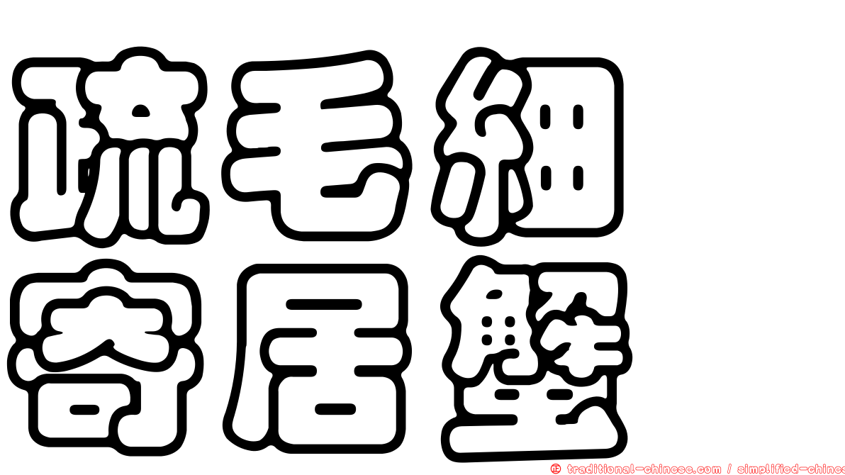 疏毛細螯寄居蟹