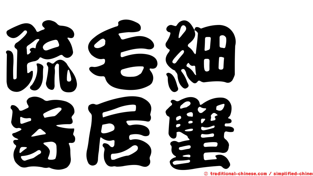 疏毛細螯寄居蟹