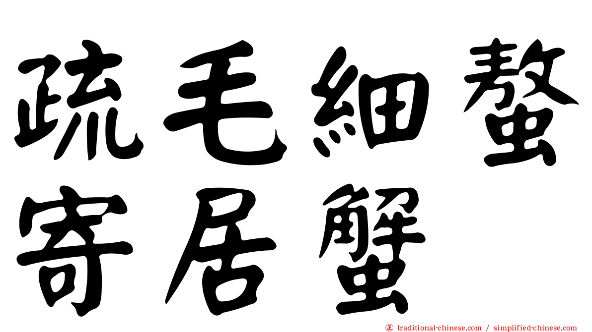 疏毛細螯寄居蟹