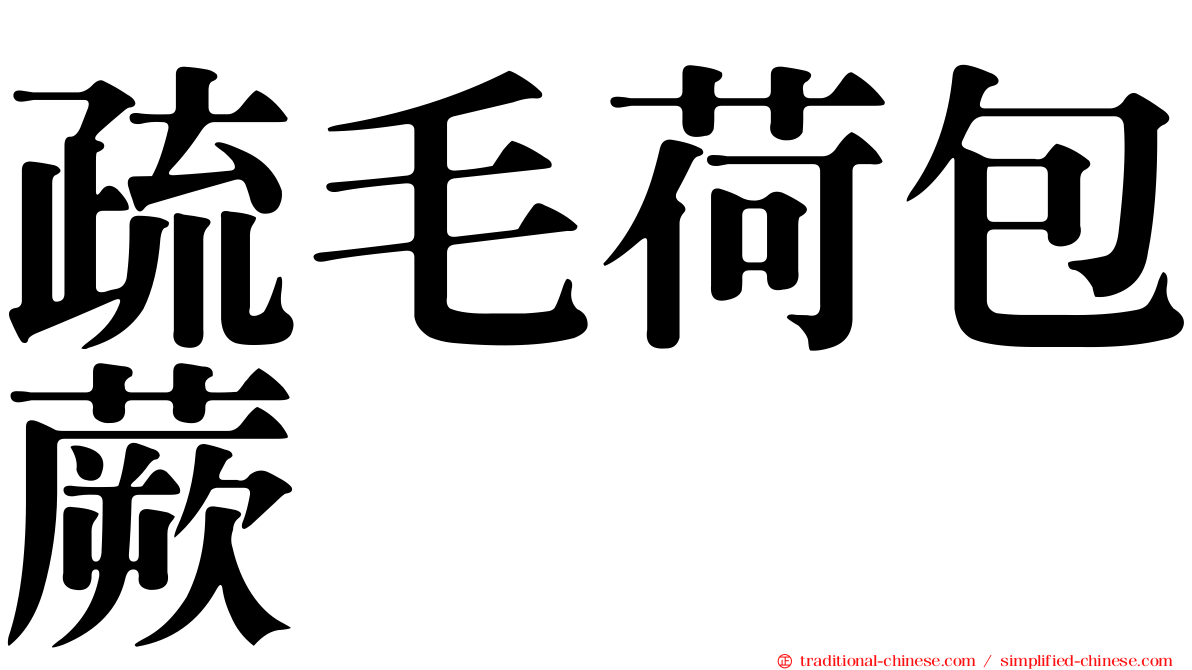 疏毛荷包蕨