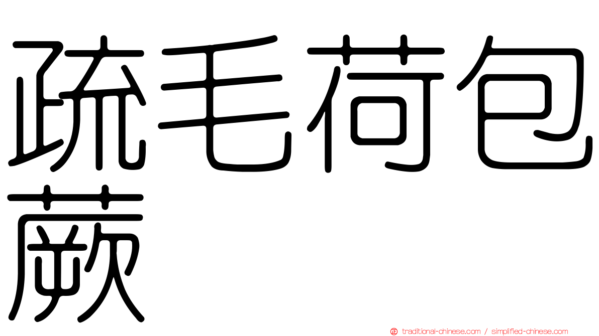 疏毛荷包蕨