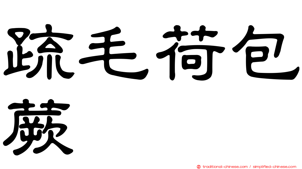 疏毛荷包蕨