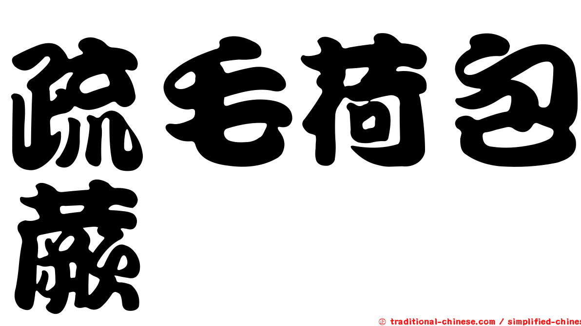 疏毛荷包蕨