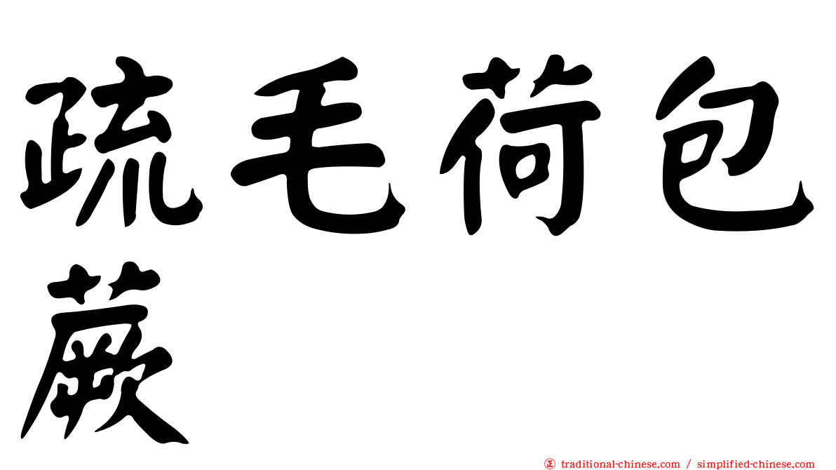 疏毛荷包蕨