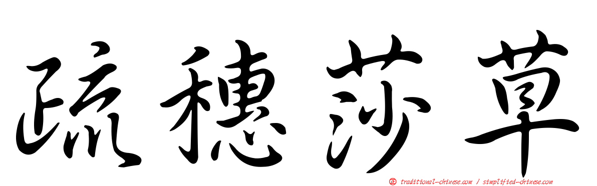 疏穗莎草
