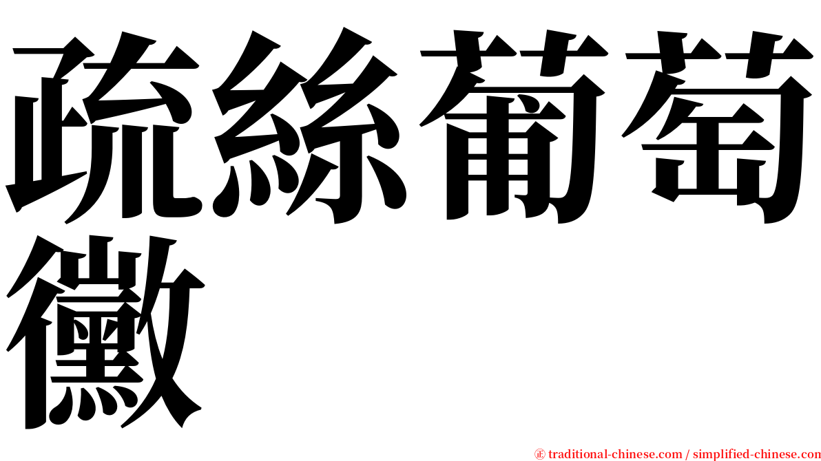 疏絲葡萄黴 serif font