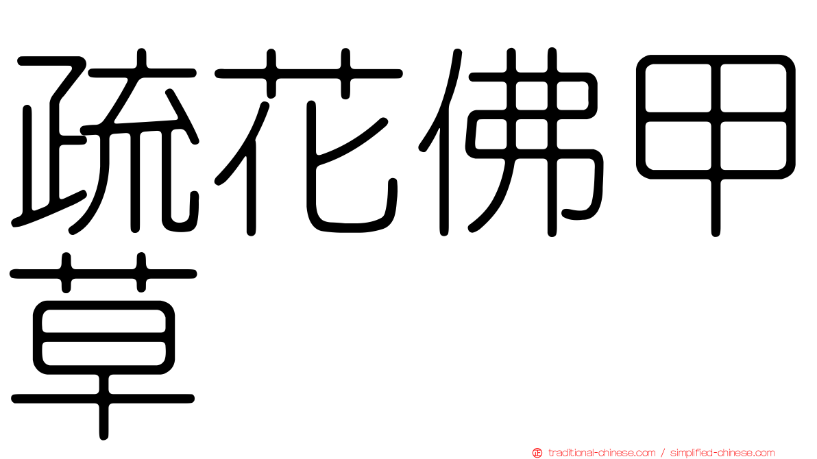 疏花佛甲草