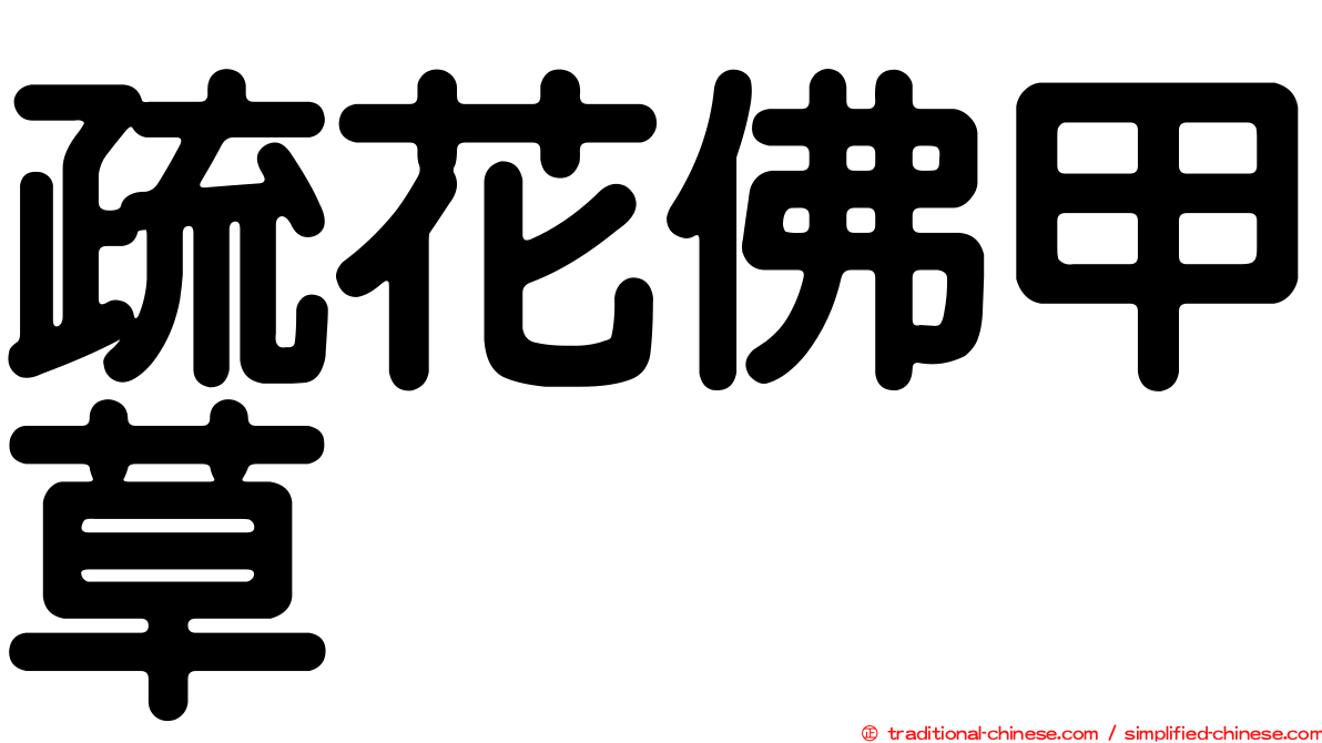 疏花佛甲草