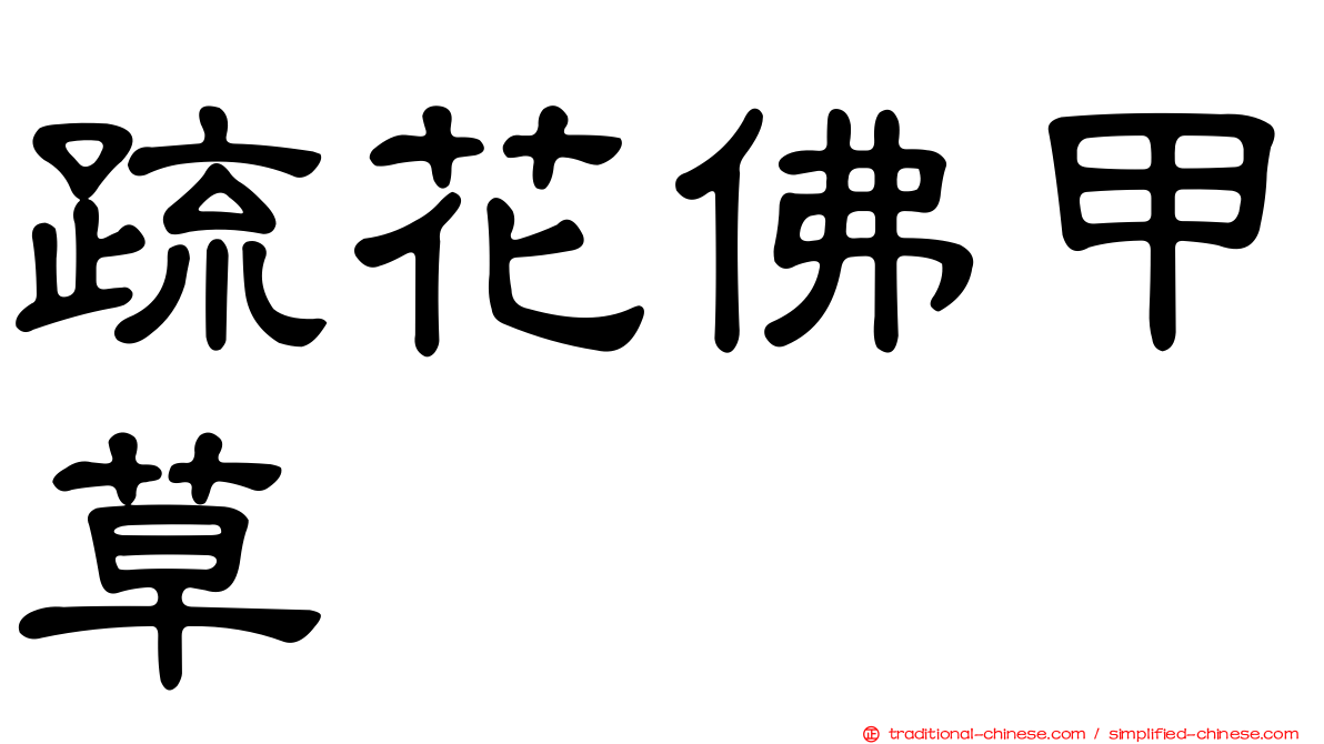 疏花佛甲草
