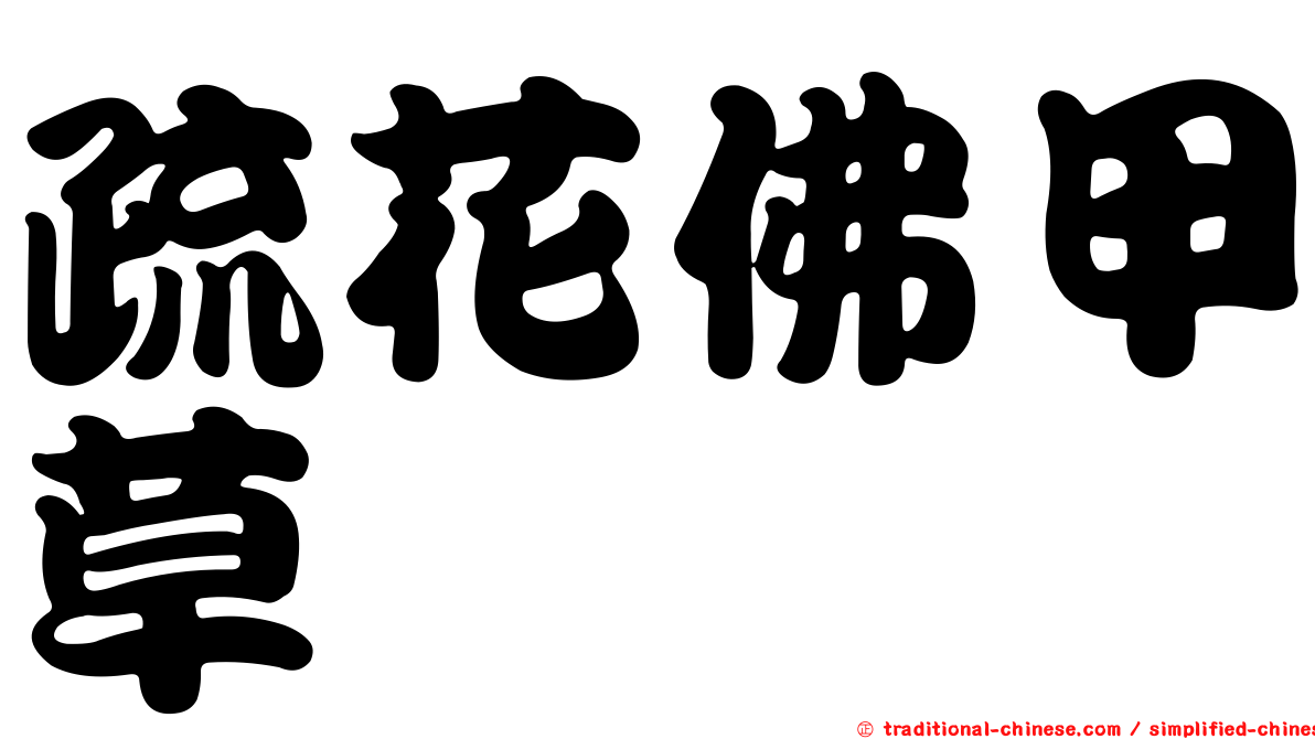 疏花佛甲草