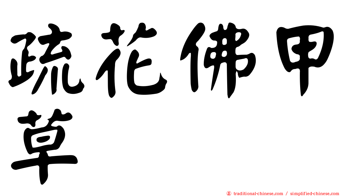 疏花佛甲草