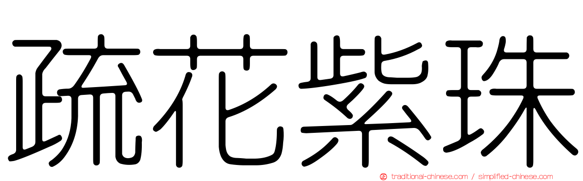 疏花紫珠