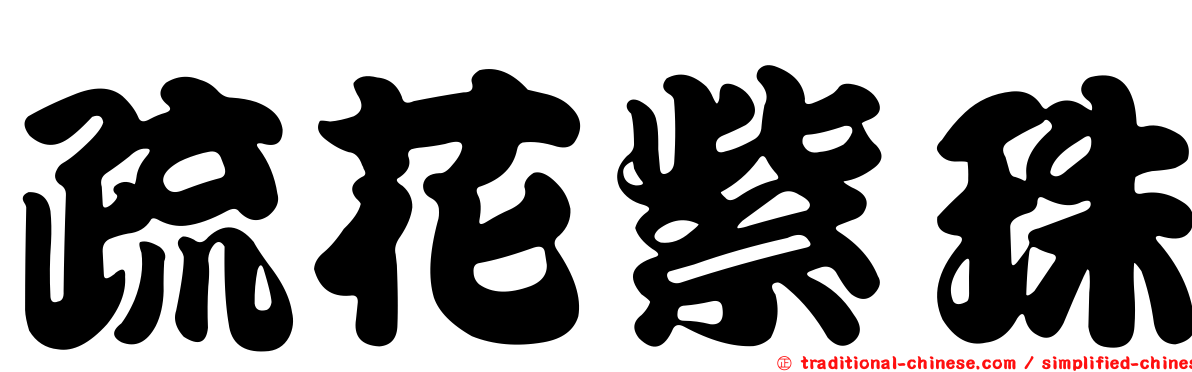 疏花紫珠