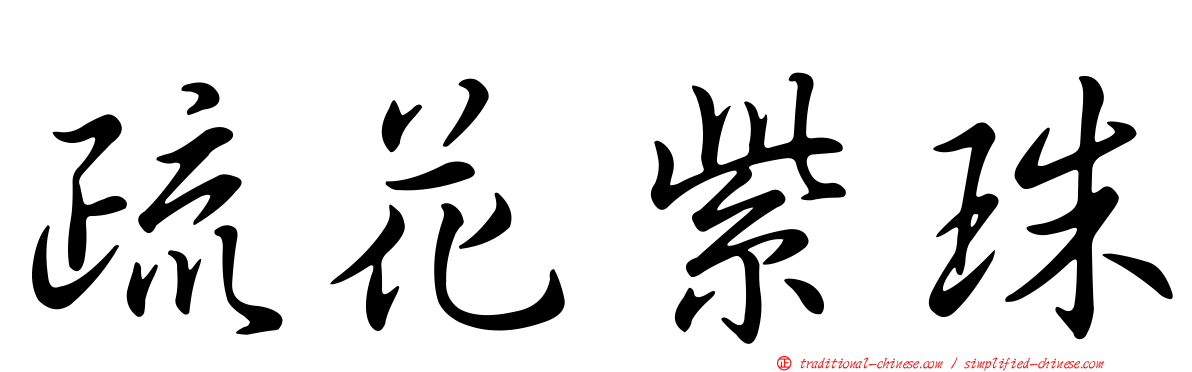 疏花紫珠