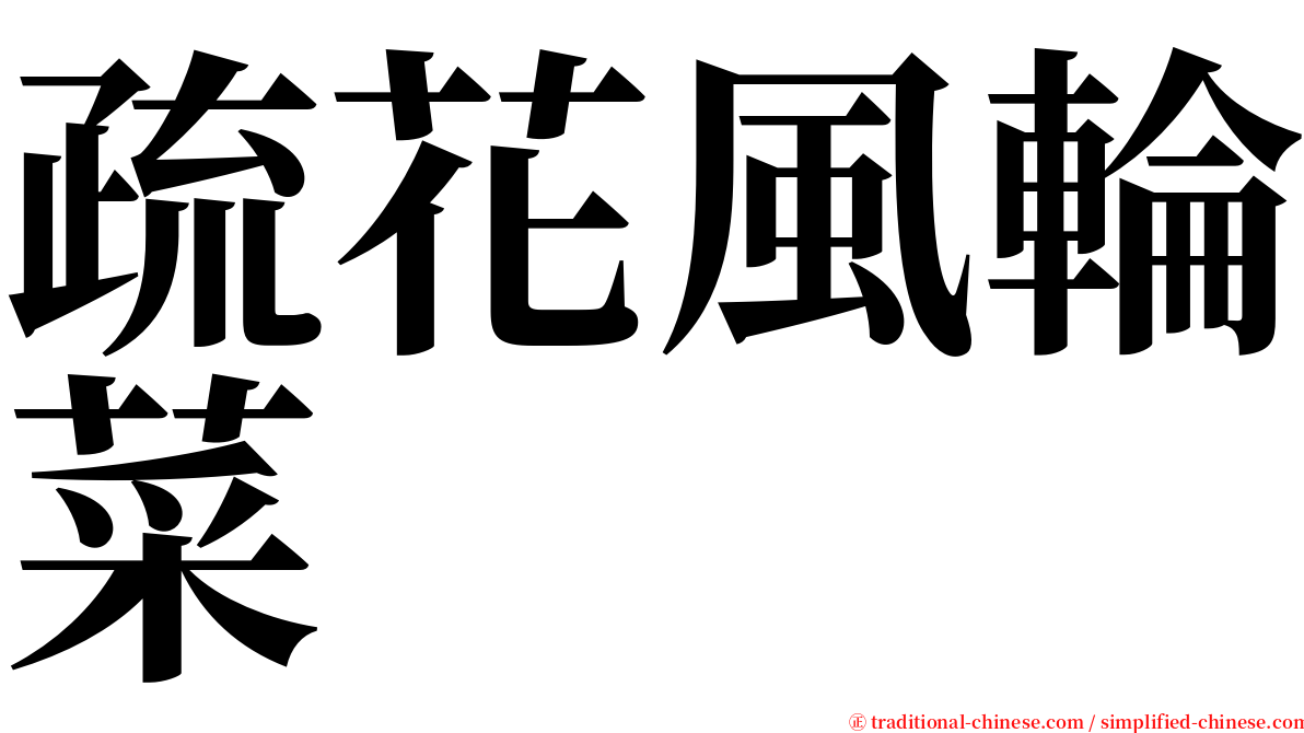 疏花風輪菜 serif font