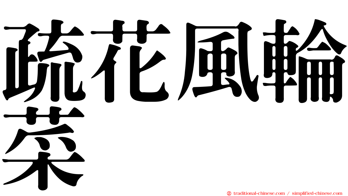 疏花風輪菜