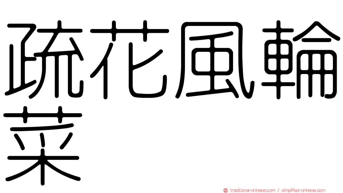 疏花風輪菜