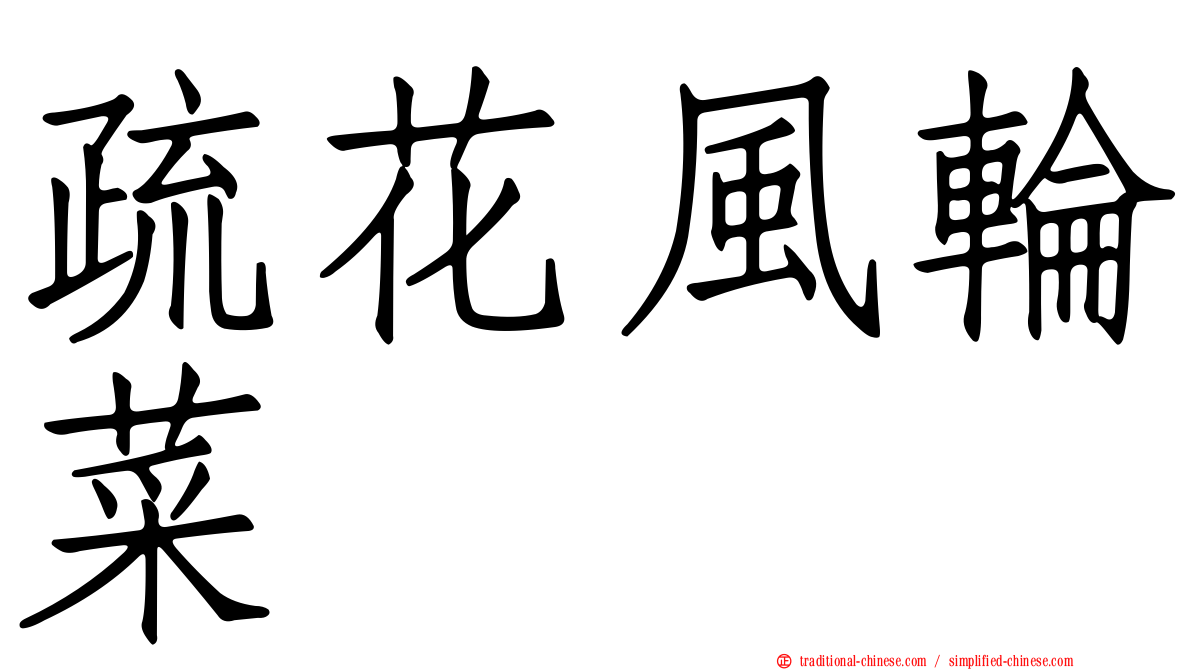 疏花風輪菜