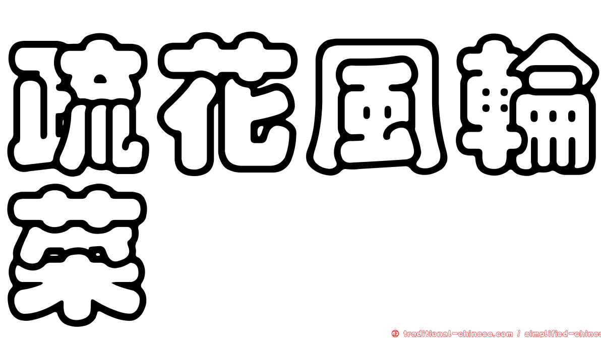 疏花風輪菜
