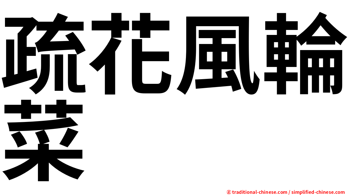 疏花風輪菜