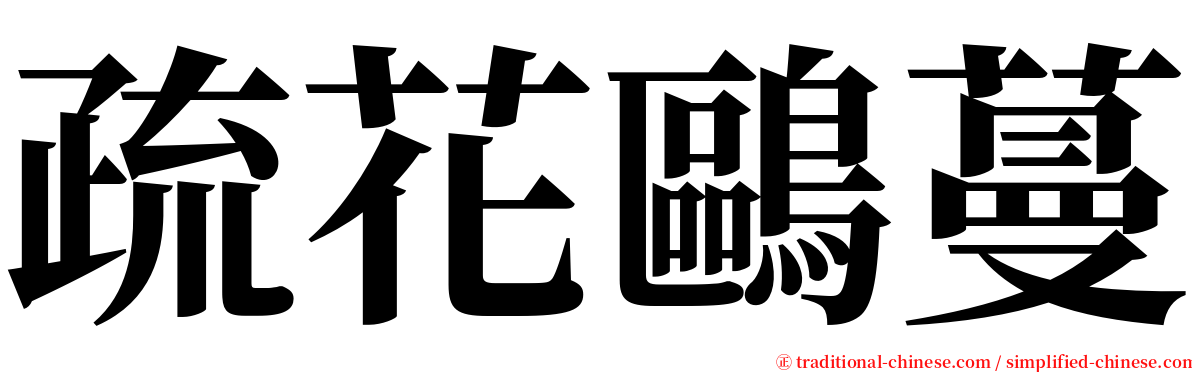 疏花鷗蔓 serif font