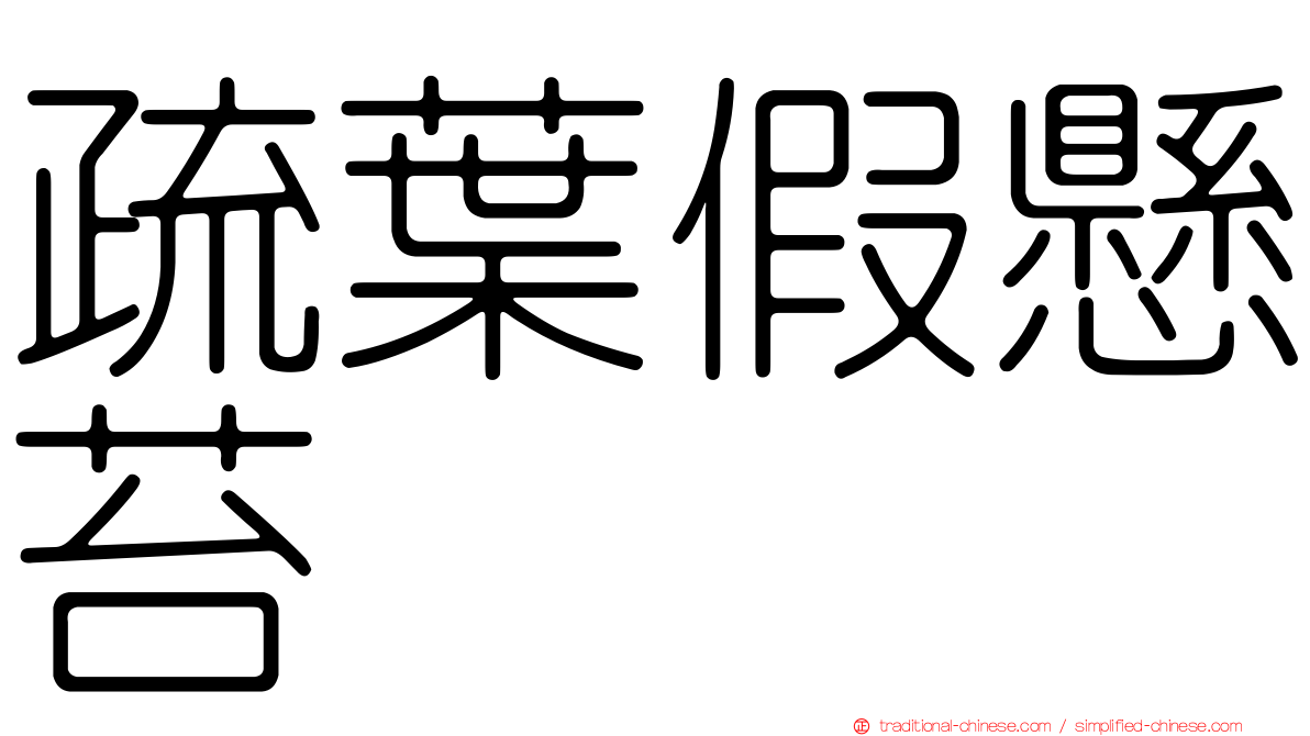 疏葉假懸苔