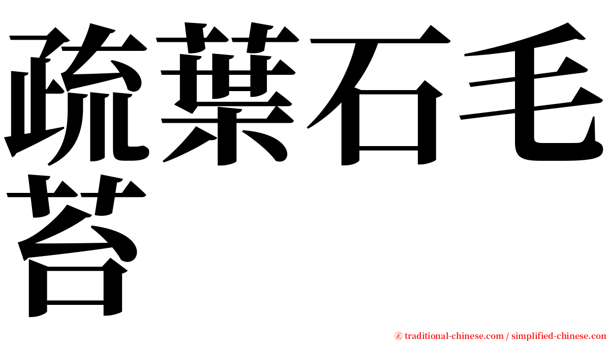 疏葉石毛苔 serif font