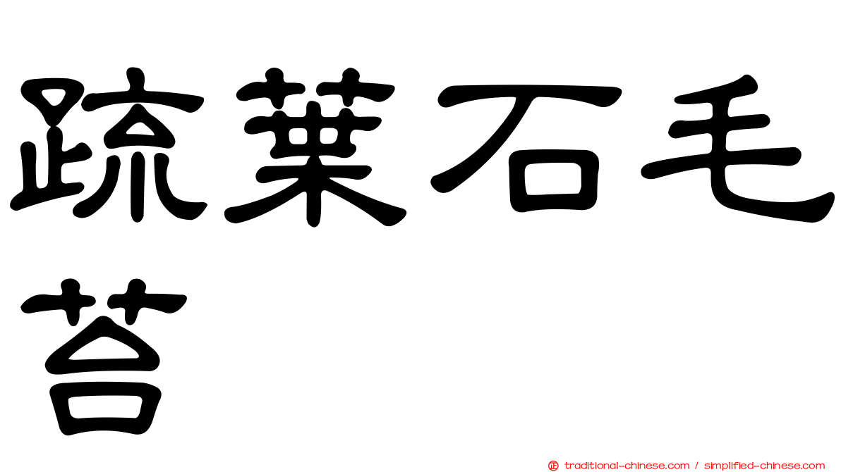 疏葉石毛苔