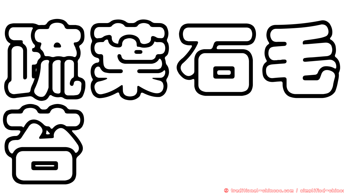 疏葉石毛苔