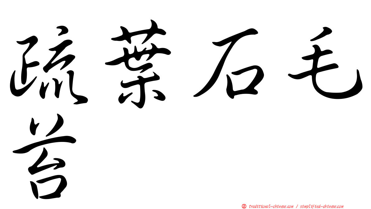 疏葉石毛苔