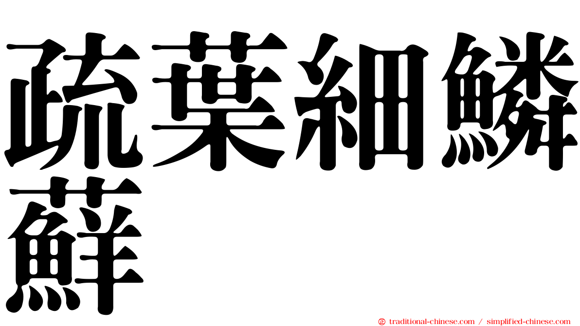 疏葉細鱗蘚