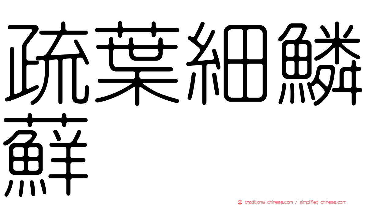 疏葉細鱗蘚