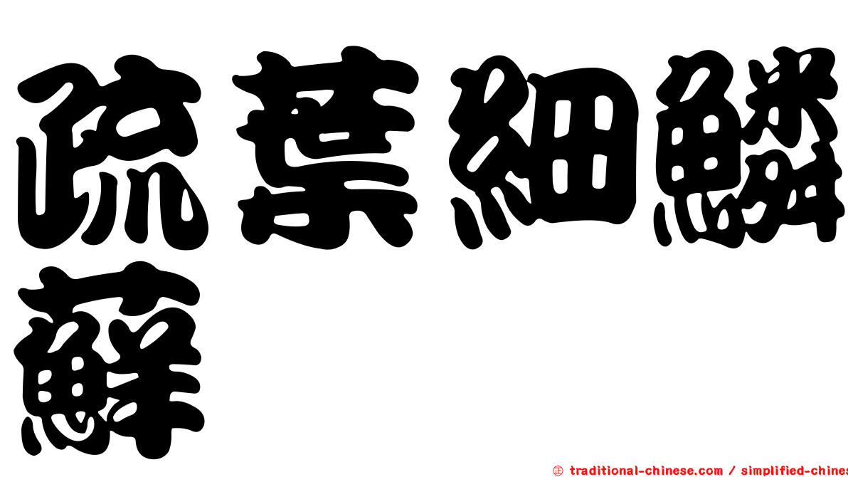 疏葉細鱗蘚