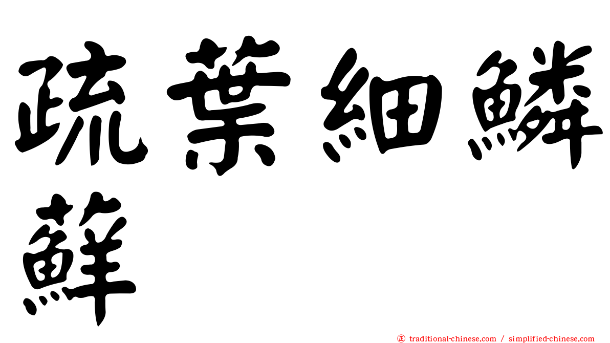疏葉細鱗蘚