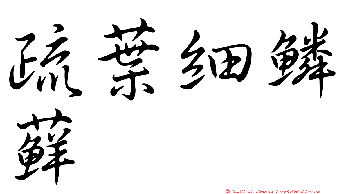 疏葉細鱗蘚