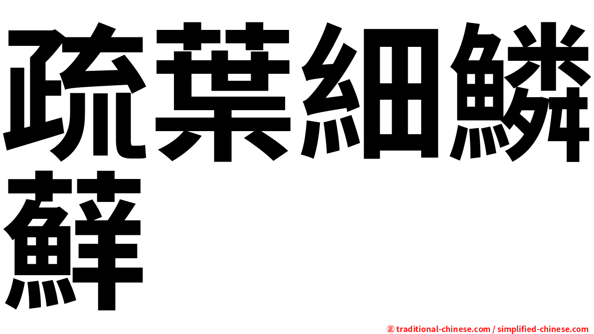 疏葉細鱗蘚