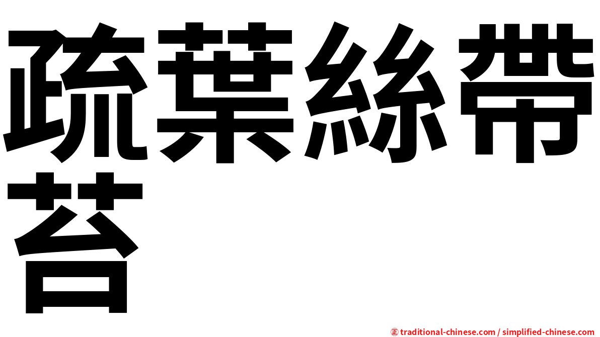 疏葉絲帶苔