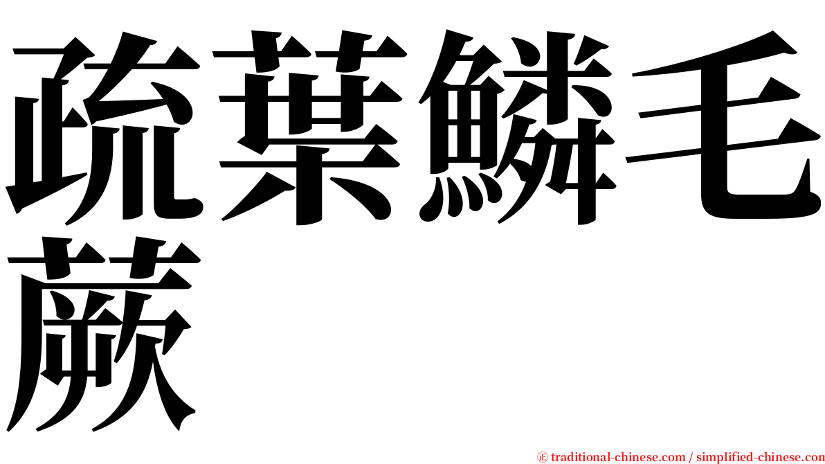 疏葉鱗毛蕨 serif font