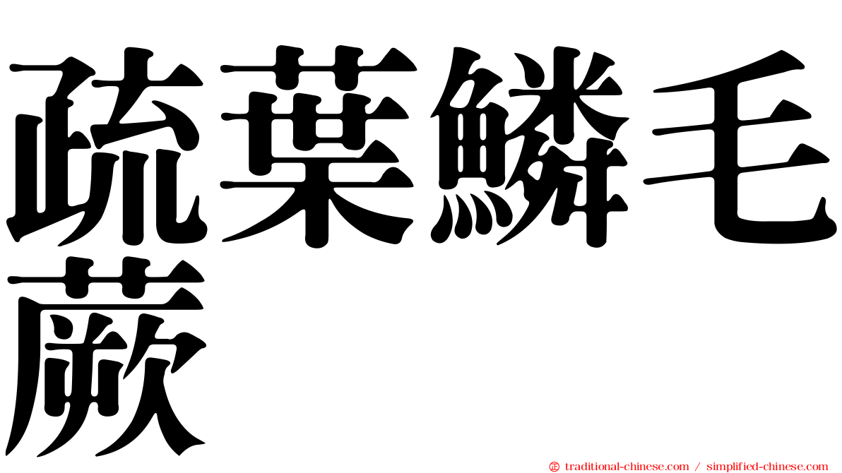 疏葉鱗毛蕨