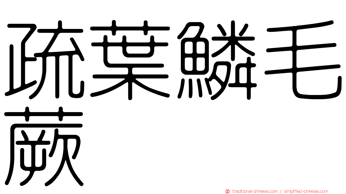 疏葉鱗毛蕨
