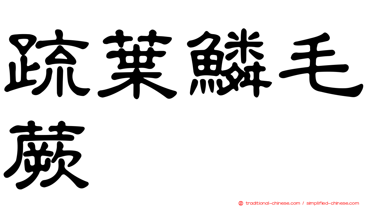 疏葉鱗毛蕨