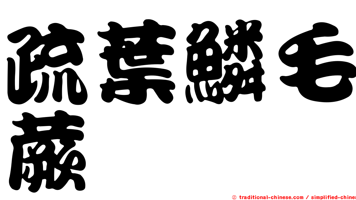 疏葉鱗毛蕨