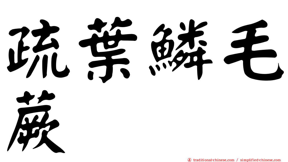 疏葉鱗毛蕨