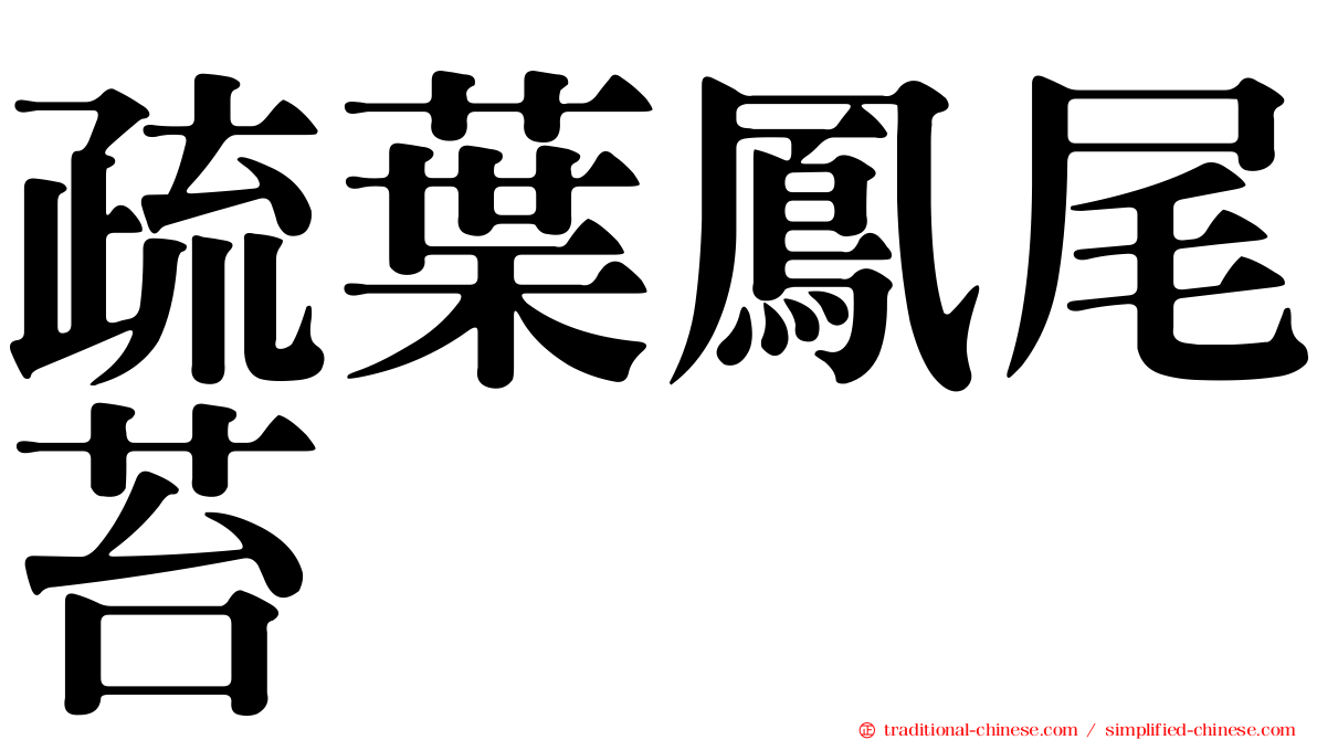 疏葉鳳尾苔