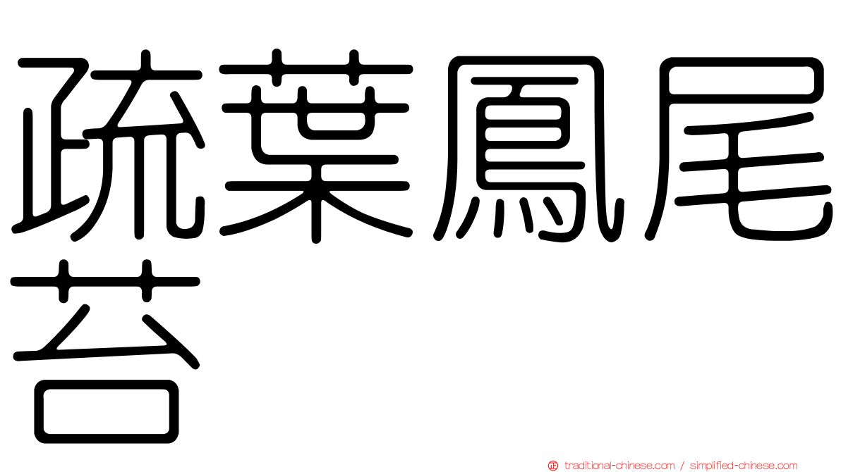 疏葉鳳尾苔