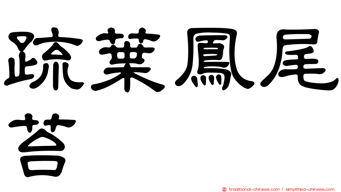 疏葉鳳尾苔