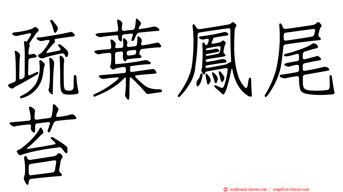 疏葉鳳尾苔