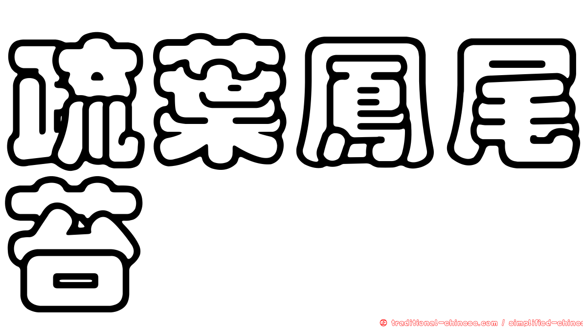疏葉鳳尾苔